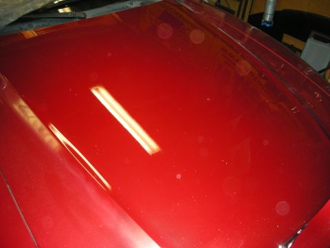 1998 Ford Crown Victoria - Close-up of a freshly painted glossy candy-red body panel reflecting an overhead strip light.