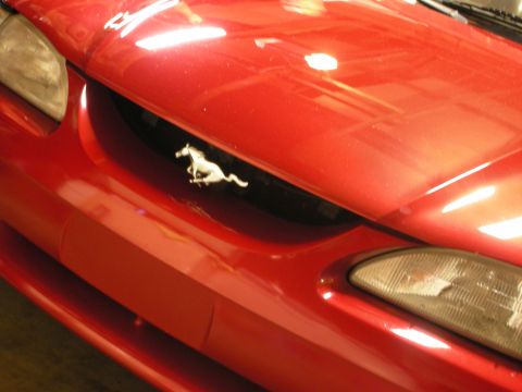 1998 Ford Crown Victoria - Close-up of a red Ford Mustang front grille opening framing the chrome running-pony emblem between the headlights.