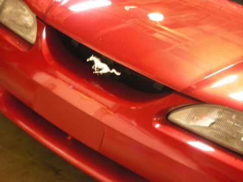 1998 Ford Crown Victoria - Close-up of the red Ford Mustang grille opening and chrome running-pony emblem, with a headlight visible at right.