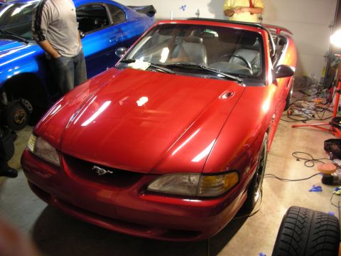 1998 Ford Crown Victoria - Front three-quarter view of a glossy red Ford Mustang convertible in a garage, with a blue car and tools in the background.