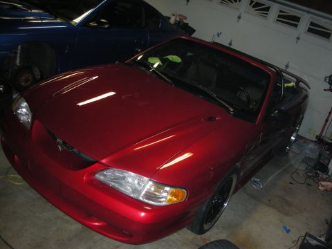 1998 Ford Crown Victoria - Front three-quarter view of a dark red Ford Mustang convertible parked in a garage next to a blue vehicle.