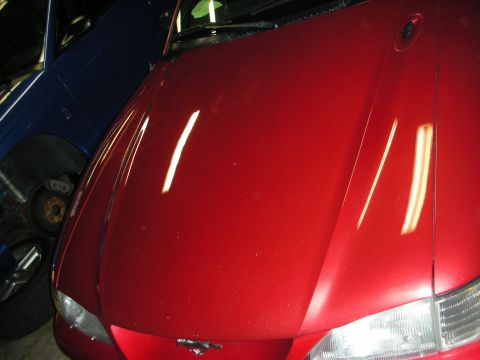 1998 Ford Crown Victoria - Tight shot of a dark red car's hood and front fender with reflections, parked in a garage next to a blue vehicle.