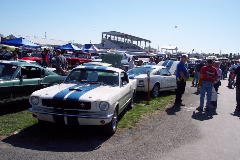 2001 Ford Crown Victoria - A classic Mustang Shelby GT350 is displayed at a car show with other vehicles and spectators.