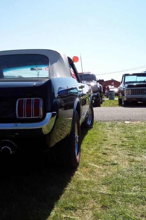 2001 Ford Crown Victoria - A black convertible classic car is parked on grass with other vehicles in the background under a clear blue sky.