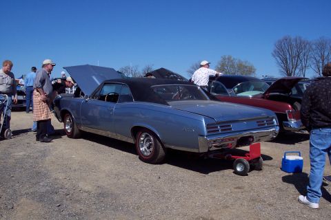 2001 Ford Crown Victoria - A light blue 1967 Pontiac GTO convertible is parked outdoors with its hood up, alongside other vehicles.