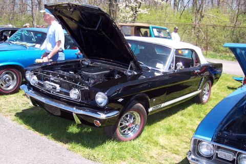 2001 Ford Crown Victoria - Black 1965 Ford Mustang convertible at a car show, hood open, with other vehicles nearby.