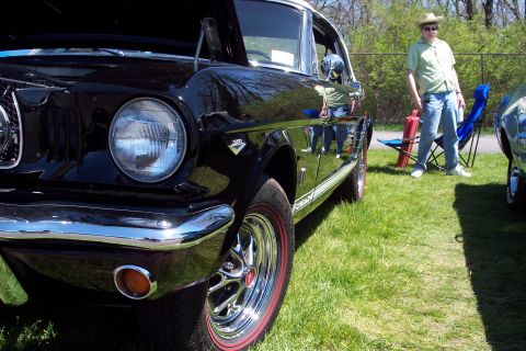 2001 Ford Crown Victoria - A black classic Ford Mustang is displayed outdoors with its hood up, parked on a grassy area.