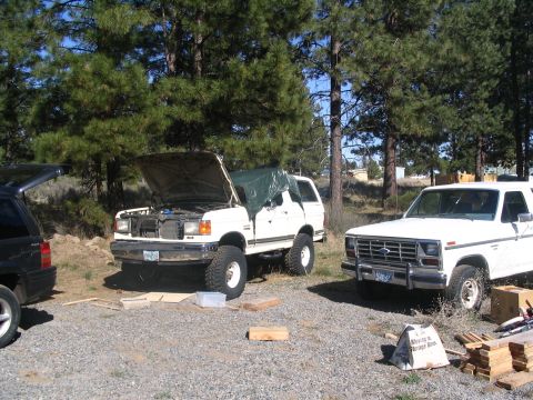 1988 Ford Bronco photo