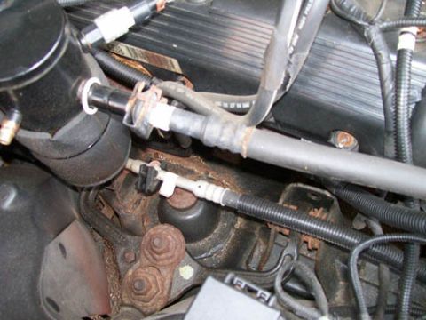 1999 Ford Crown Victoria - Close-up view of various hoses and metal components within a vehicle's engine compartment.