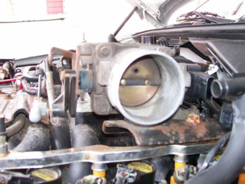 1999 Ford Crown Victoria - Engine components, including the throttle body and intake manifold, are visible in this close-up shot.