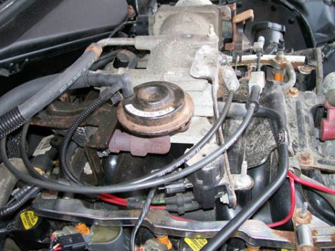 1999 Ford Crown Victoria - Close-up view of engine components, including hoses and wiring, with a website address visible.