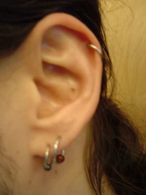 1989 Ford Bronco - The image shows a close-up of a human ear adorned with several silver hoop earrings and a small red bead.