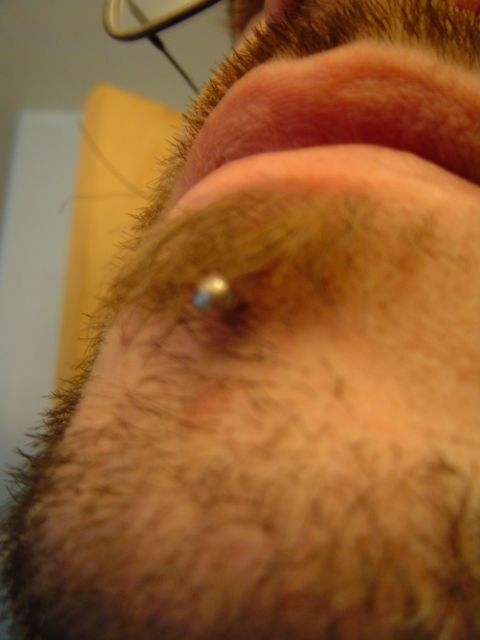 1989 Ford Bronco - A close-up view captures a silver stud piercing in a person's eyebrow.