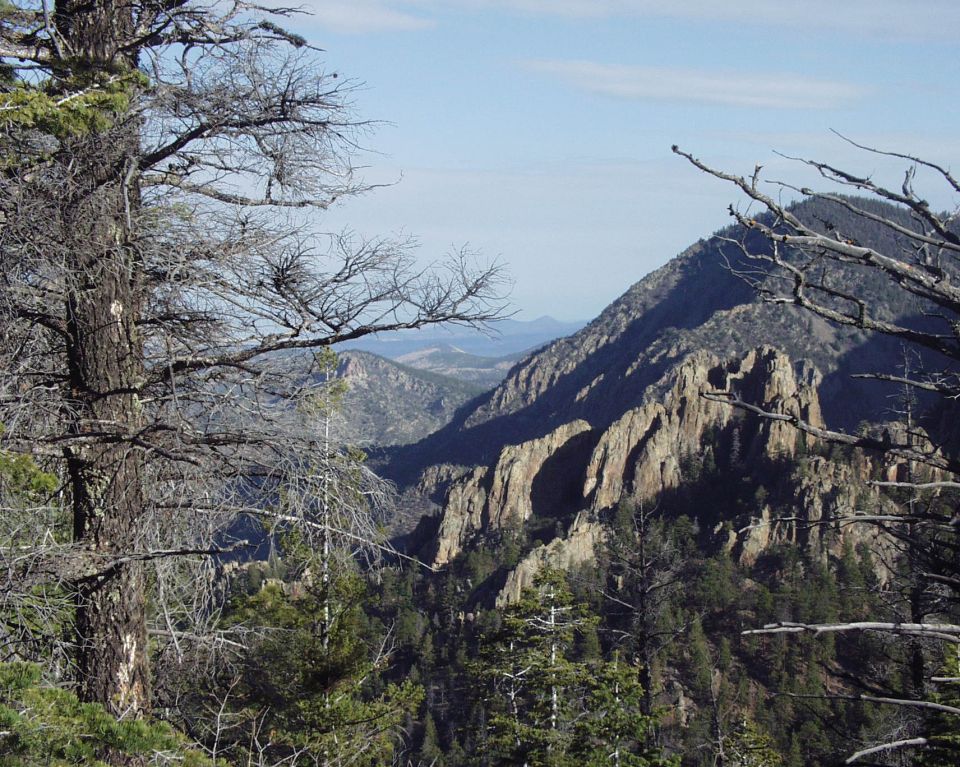 Mountain landscape with trees and rocky peaks under a blue sky