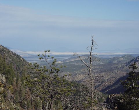 1997 Ford F-250 - A wide view of a mountainous region with scattered trees and a valley in the distance.