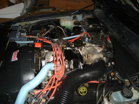 1992 Ford Crown Victoria - Close-up view of a V8 engine bay, various hoses, wires, and engine components.