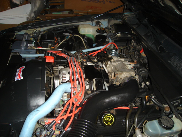 Engine bay with V8 engine, blue hoses, and red spark plug wires