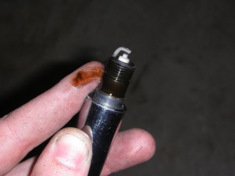 1992 Ford Crown Victoria - A spark plug shows signs of oil contamination on the electrode and a finger.