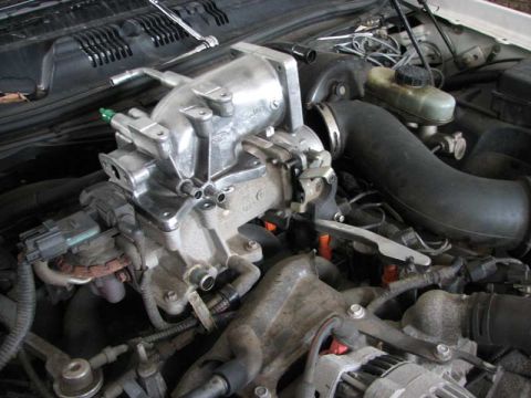 2003 Ford Crown Victoria - Throttle body and intake manifold assembly shown in an engine compartment.