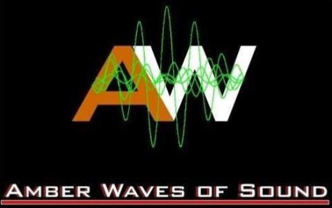1995 Ford Probe - Logo "AW" with green sound waves and the text "AMBER WAVES OF SOUND" below.