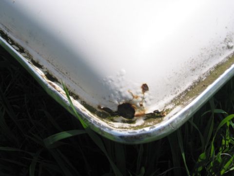 1968 Ford Bronco - Close-up of a white vehicle fender with visible rust and moss growth along the chrome trim.