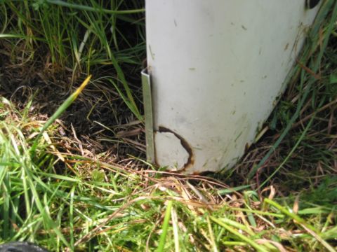 1968 Ford Bronco - Close-up of a white vehicle fender showing rust and a metal bracket, partially obscured by grass.