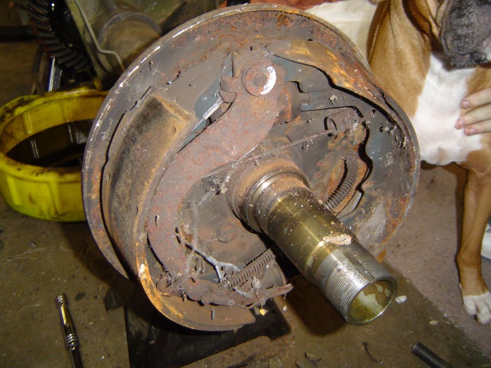 Rusty brake drum assembly with visible brake shoes and springs. A dog is partially visible in the background