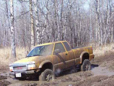 1996 Ford Bronco - A yellow GMC pickup truck is stuck deep in the mud, with trees and dry brush in the background.