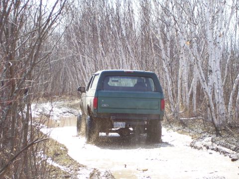 1996 Ford Bronco - A green 1996 Ford Bronco navigates a muddy path surrounded by birch trees.