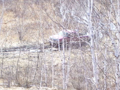 1996 Ford Bronco - Red pickup truck is stuck in mud and trees.