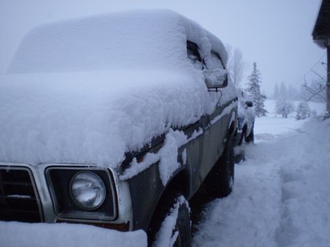 1978 Ford Bronco photo