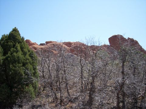 1972 Ford Ranchero - A natural scene arid vegetation and striking red rock formations under a bright blue sky.