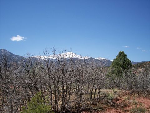 1972 Ford Ranchero - A scenic view of snow-covered mountains behind a cluster of leafless trees on a clear day.