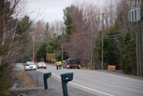 1996 Ford Bronco - A police car and a trailer loaded with wood are on the side of a road, with two individuals standing nearby.