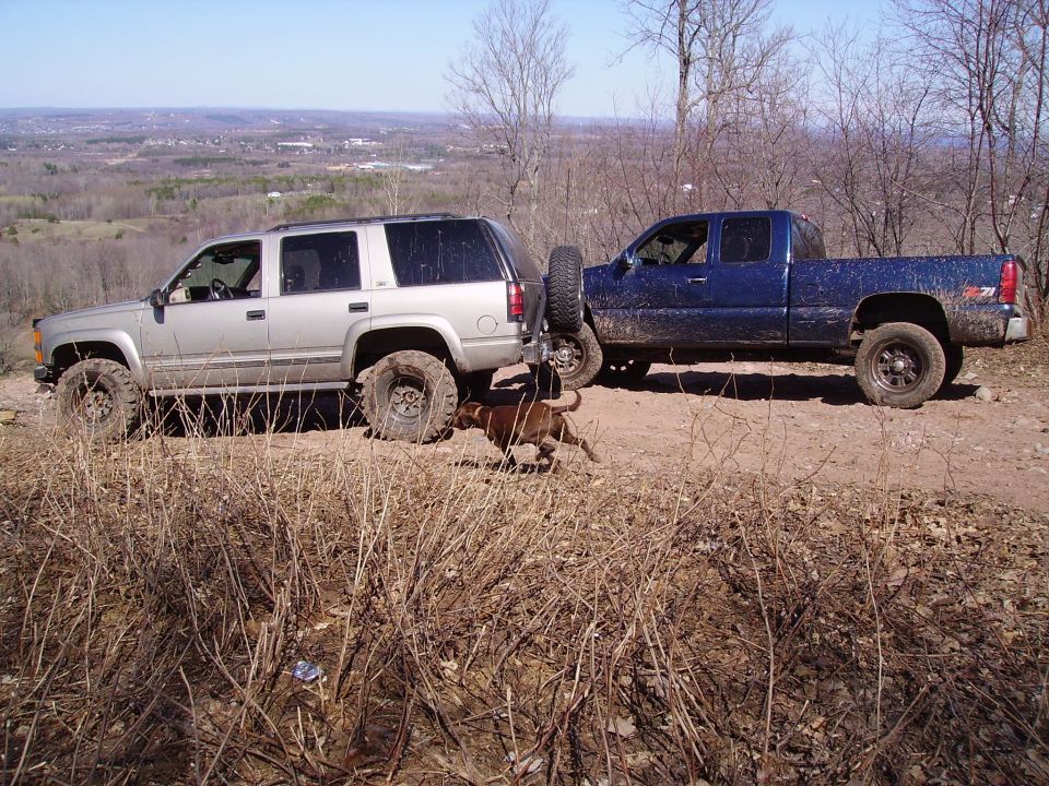 Silver 2000 Chevrolet Tahoe parked next to a blue pickup truck on a dirt road, with a dog running between them