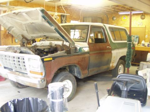 1979 Ford Bronco - My bronco after sitting 10 years