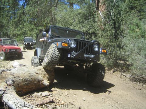 1987 Suzuki Samurai - A black Jeep Wrangler navigates an obstacle on a wooded trail, with other off-road vehicles visible.