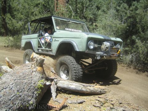 1987 Suzuki Samurai - Off-road vehicle with a roll cage maneuvers over a large fallen tree on a dirt path surrounded by forest.