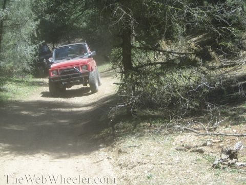 1987 Suzuki Samurai - Two SUVs navigate a dusty trail through a forest, kicking up dirt as they go.