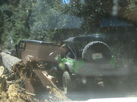 1987 Suzuki Samurai - Two off-road vehicles navigate a challenging trail with fallen trees and debris.