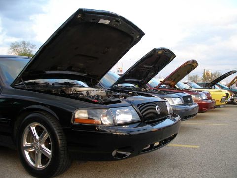 1998 Ford Crown Victoria - Multiple Mercury Grand Marquis vehicles are parked in a lot with their hoods raised, revealing their engines.
