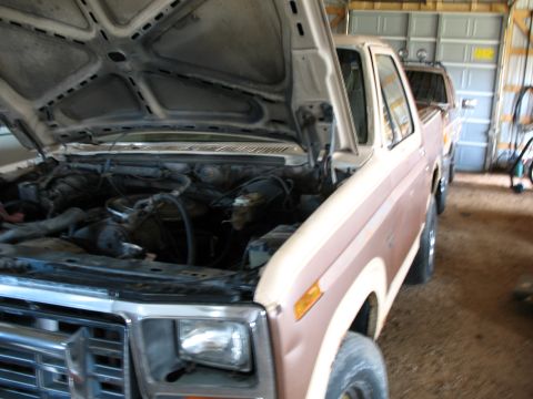1989 Ford Bronco - A two-tone Ford F-Series truck sits in a garage with its hood up, revealing the engine bay.