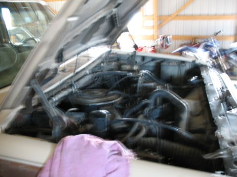 1989 Ford Bronco - The engine bay of a vehicle is shown with the hood raised, revealing the engine and various parts.