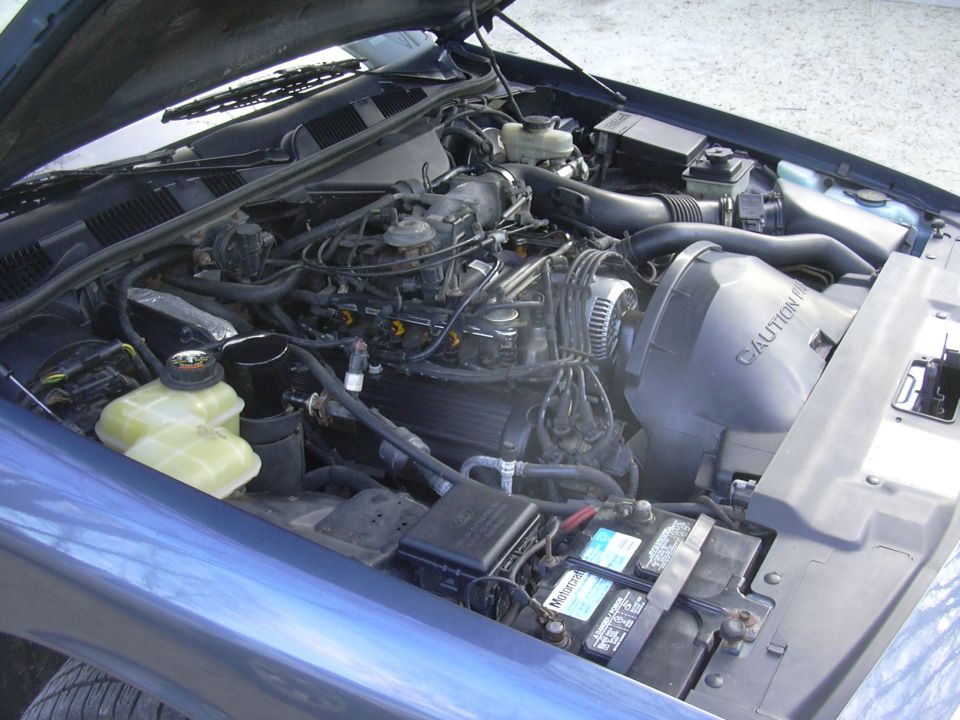 Blue 1996 Ford Crown Victoria engine bay with hood open. Visible components include the engine block, battery, hoses, and air intake