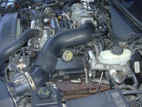 1996 Ford Crown Victoria - Close-up view of a Ford V8 engine bay, showing various components and hoses.