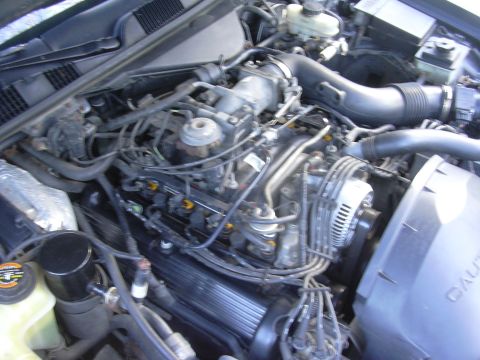 1996 Ford Crown Victoria - The engine bay of a 1996 Ford Crown Victoria shows a V8 engine with various hoses and electrical components.