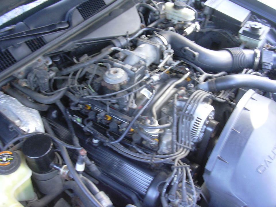 1996 Ford Crown Victoria engine bay, close-up view of the V8 engine with hoses and wires