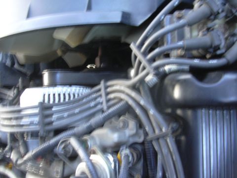 1996 Ford Crown Victoria - Close-up view of the engine bay, focusing on the fan and spark plug wires.