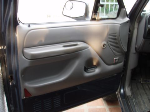 1995 Ford F-150 - DOOR
