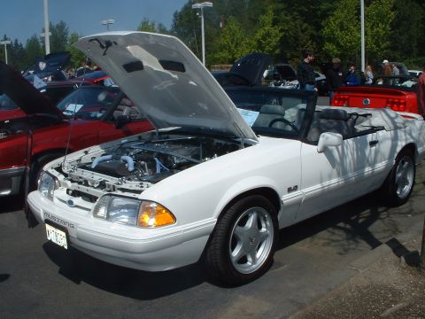 2000 Ford Crown Victoria - Dave's LX convertible-placed 1st in '87-93 convertibles.